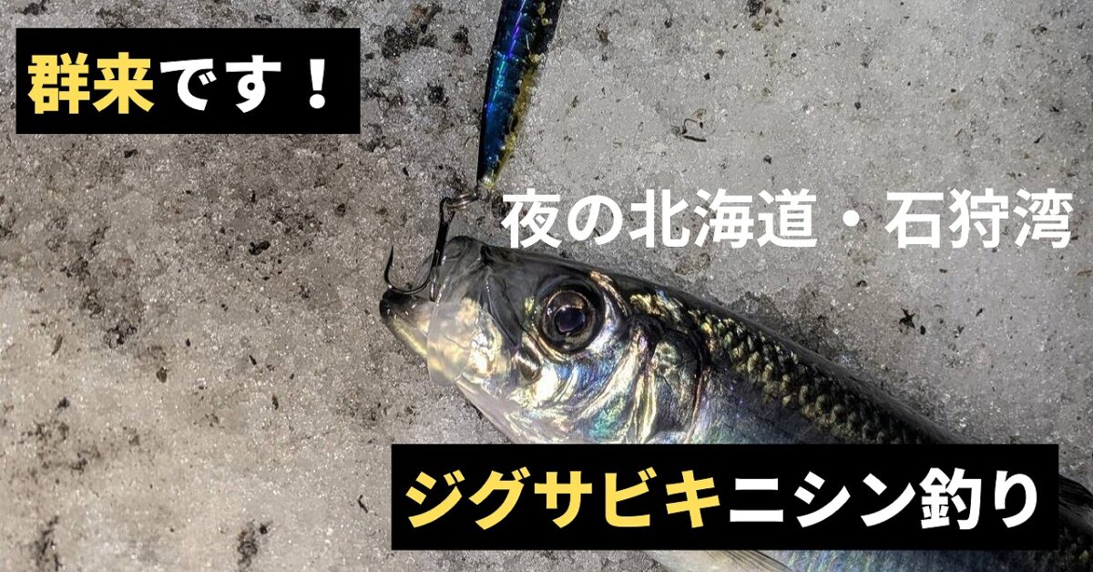 ニシンジグサビキアイキャッチ