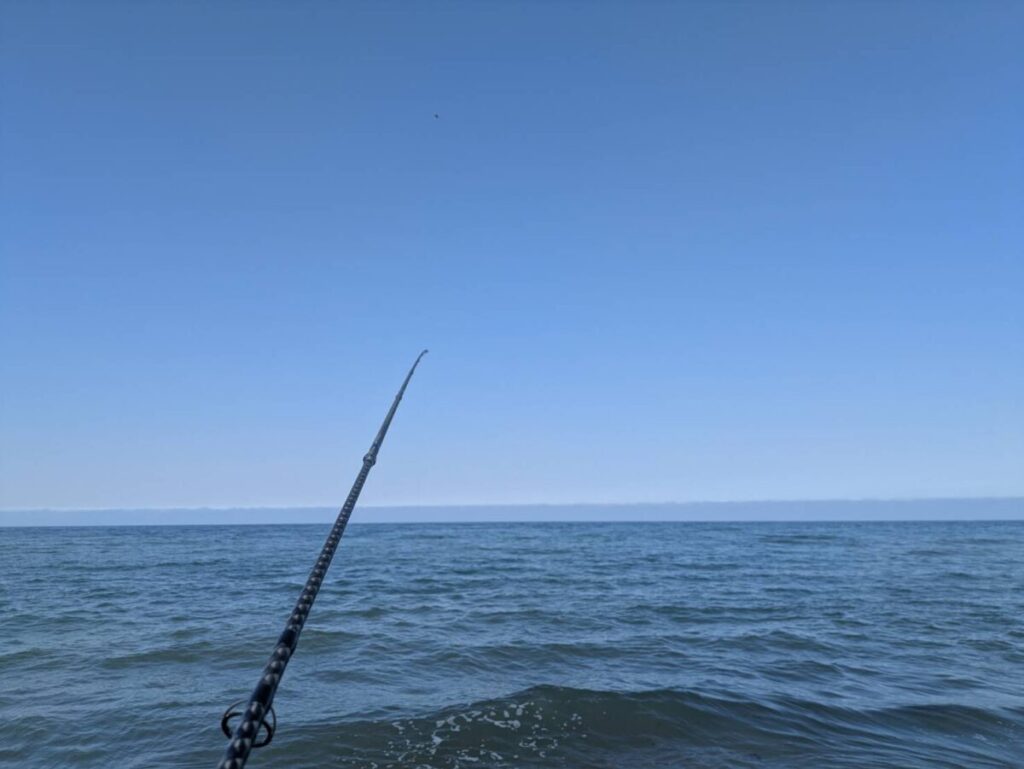 海を背景に釣り竿を出す画像