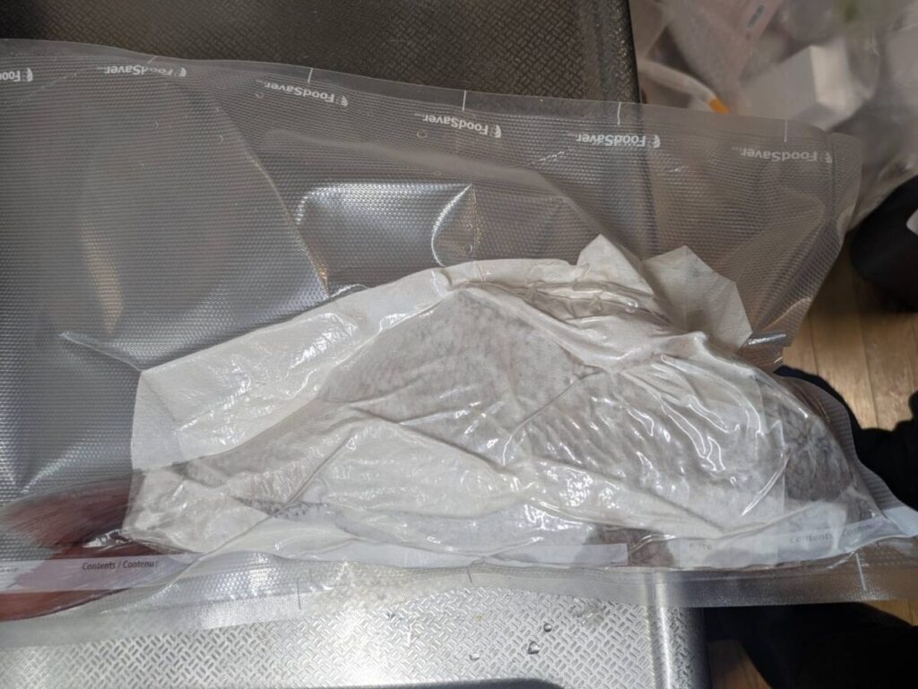 マダイ熟成