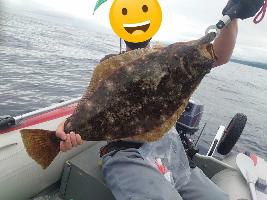 ヒラメ画像