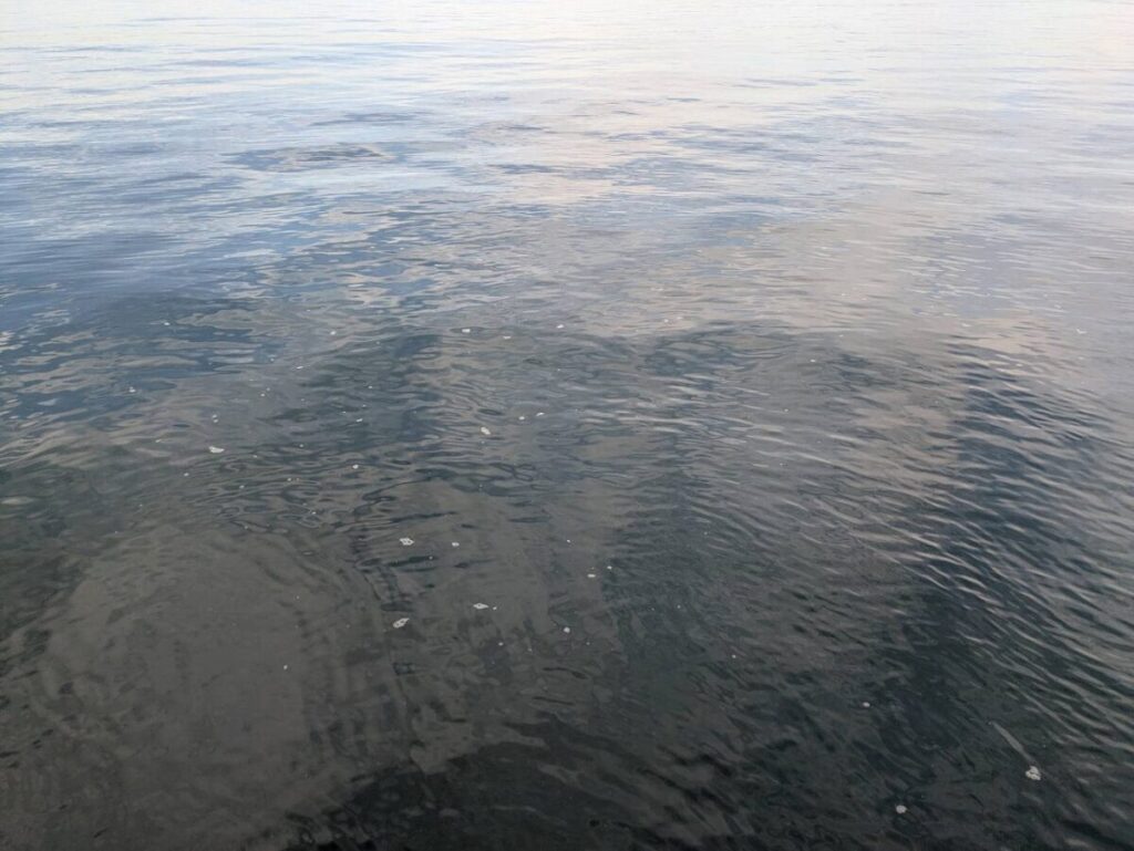 海の画像