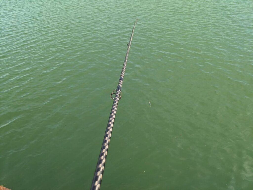 釣りしてる画像