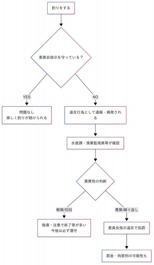 委員会指示違反のフローチャート図