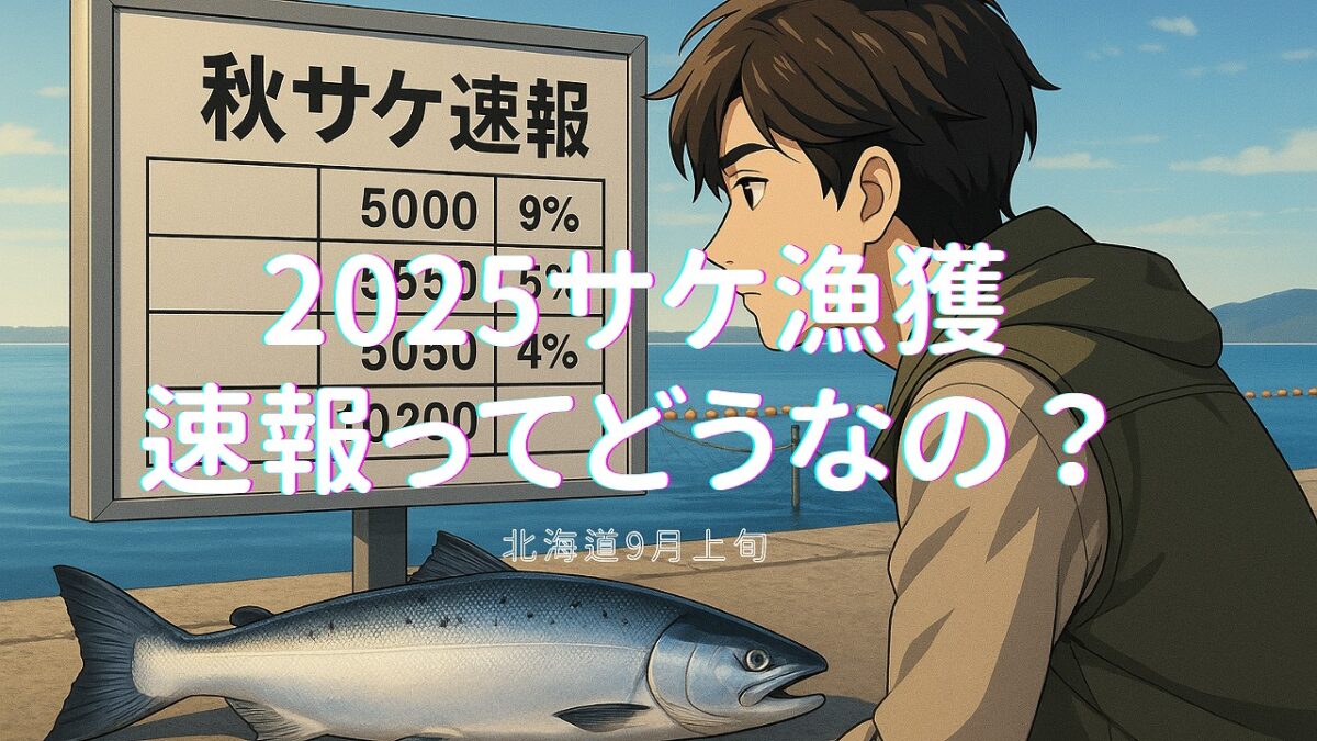 男性が秋サケ速報の掲示板を見ながら漁獲量を確認している画像