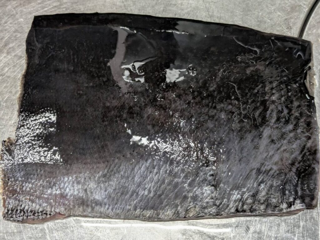 マグロの皮画像
