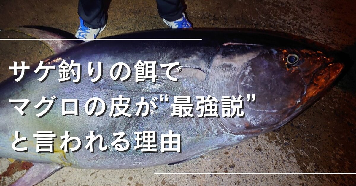 巨大なマグロが地面に横たわっているアイキャッチ画像