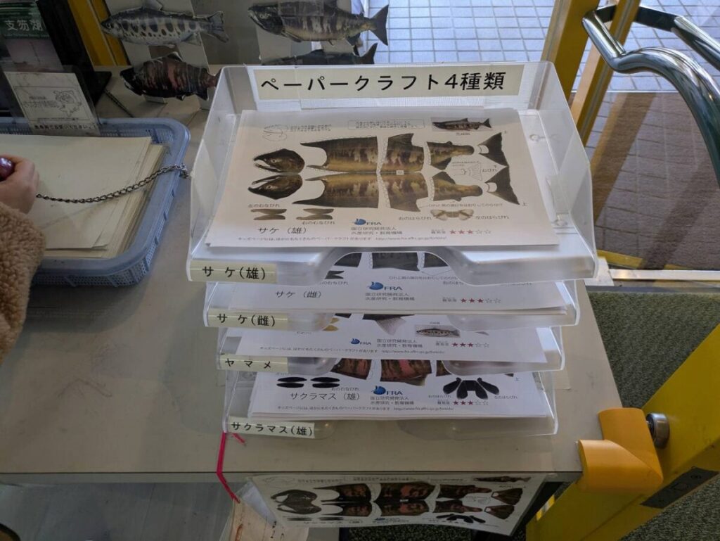 魚のペーパークラフトが置かれている様子