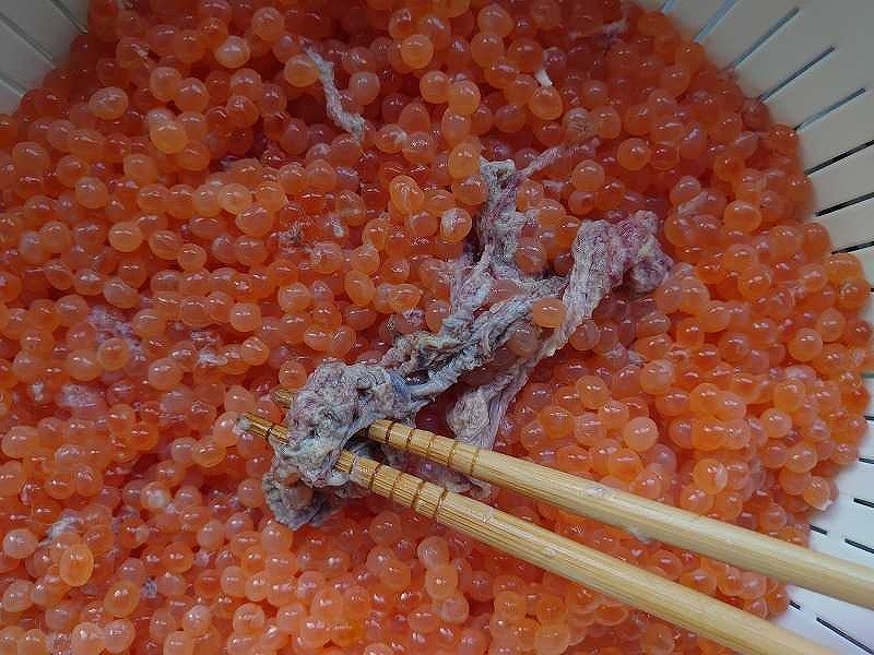 箸でイクラの皮を除去する様子