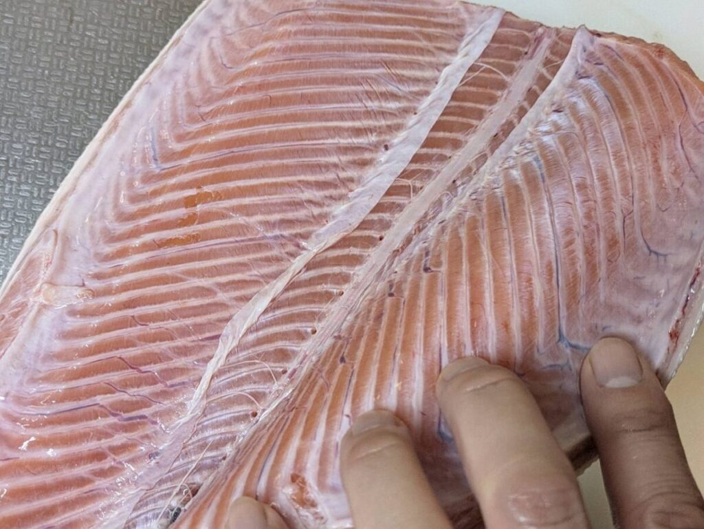 ブラシでサケを掃除した画像
