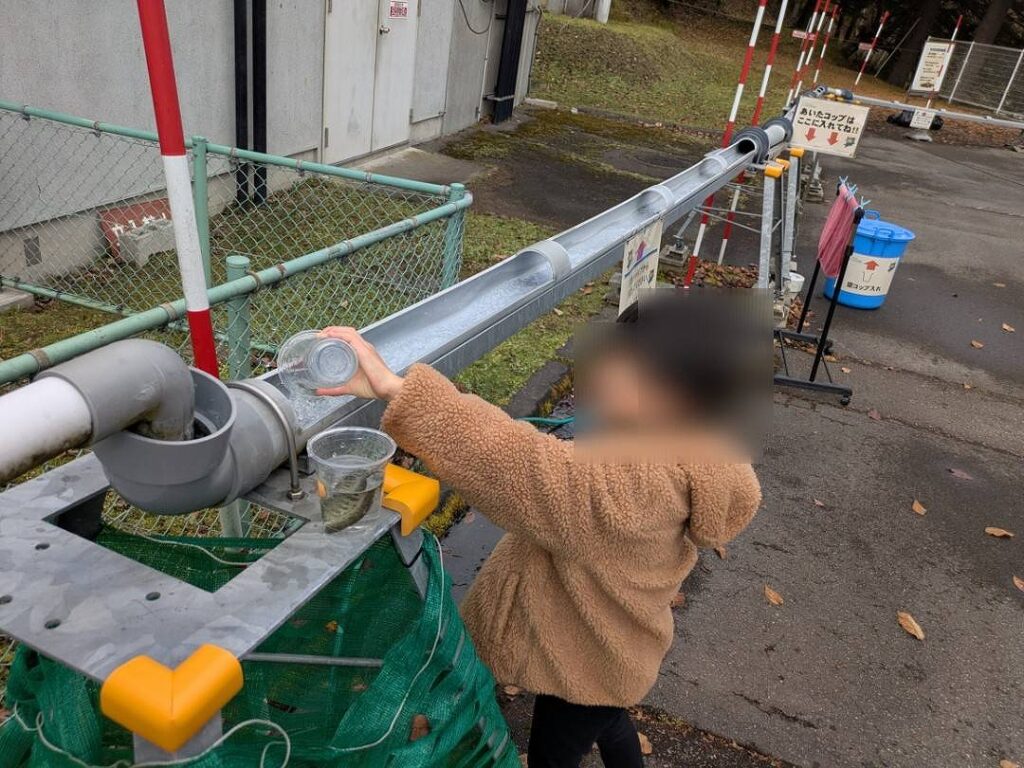 ヤマメを川に放流する子ども