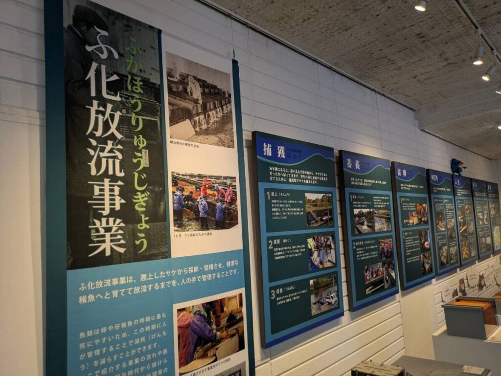 サケマス情報館展示棟の様子
ふ化放流の展示