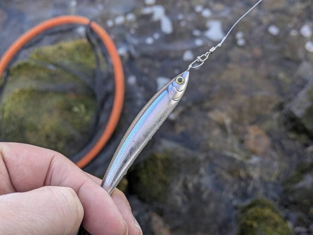 ワカサギカラーのルアーを持っている様子