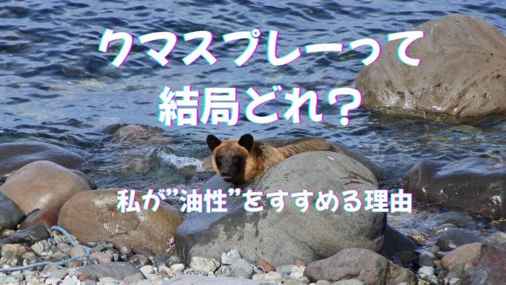 クマが海岸からこちらを見ている様子