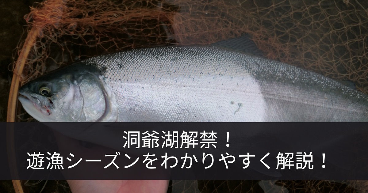 洞爺湖で釣りあげたニジマスがネットインしている画像