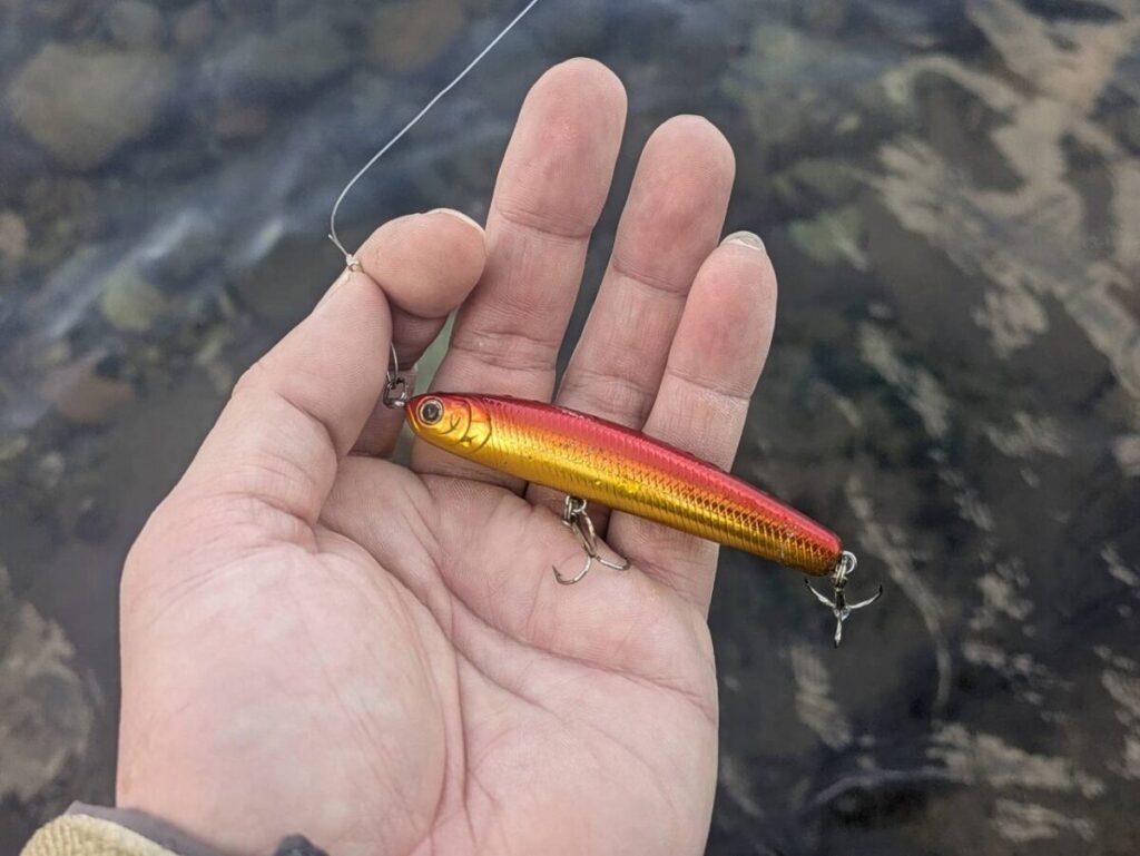 ラッキークラフトワンダー80の画像