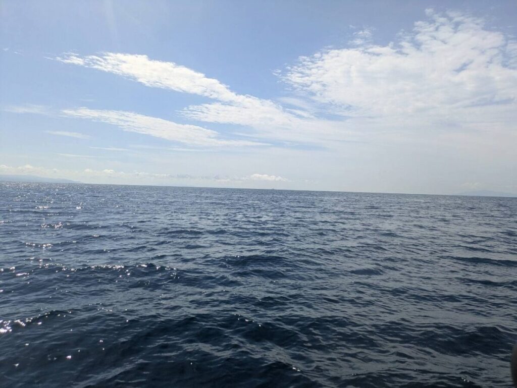 船釣りしている海の画像