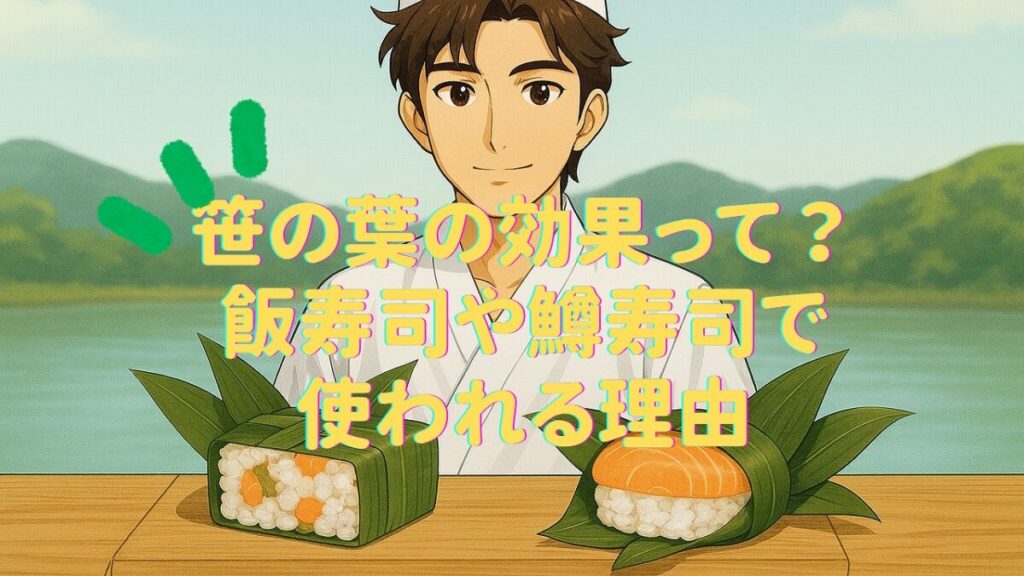 飯寿司と鱒鮨を笹の葉で包んだ様子。北海道のチシマザサと富山のクマザサの違いがわかるイメージ。