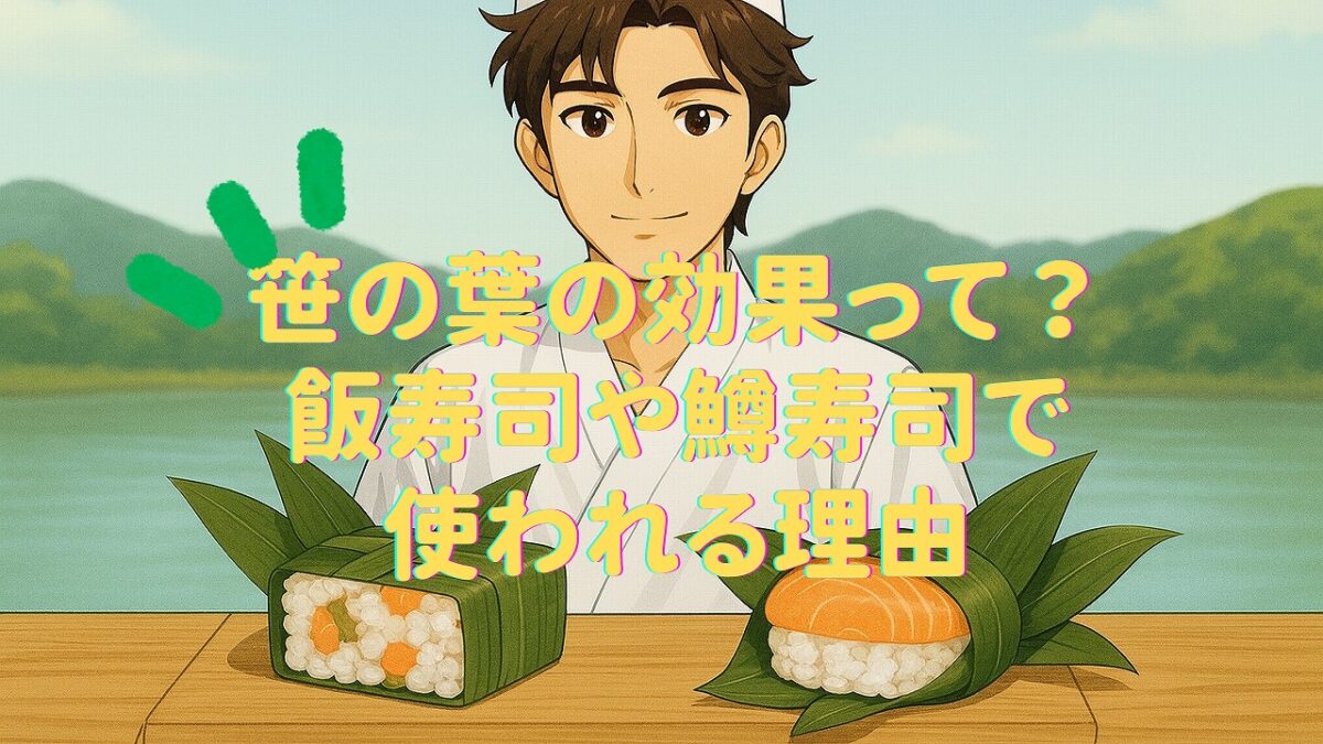 飯寿司と鱒鮨を笹の葉で包んだ様子。北海道のチシマザサと富山のクマザサの違いがわかるイメージ。