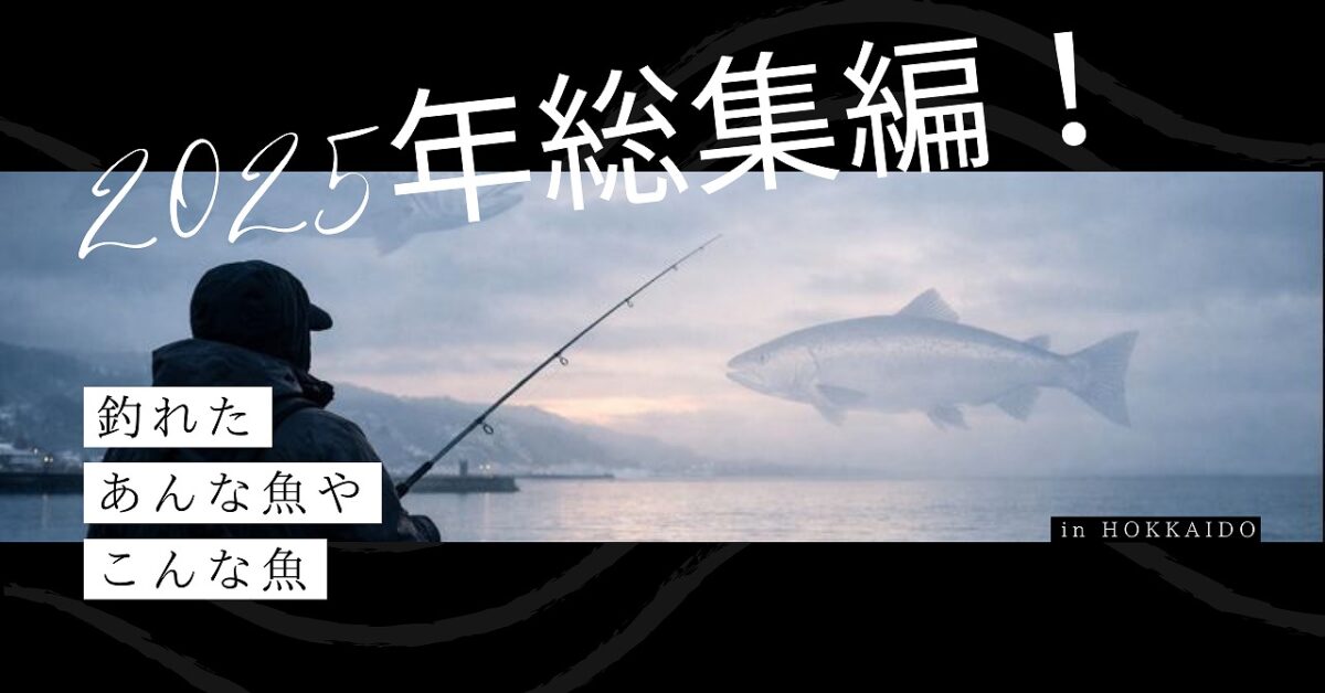 冬の北海道。寒空の中海を眺めながら釣りする釣り人