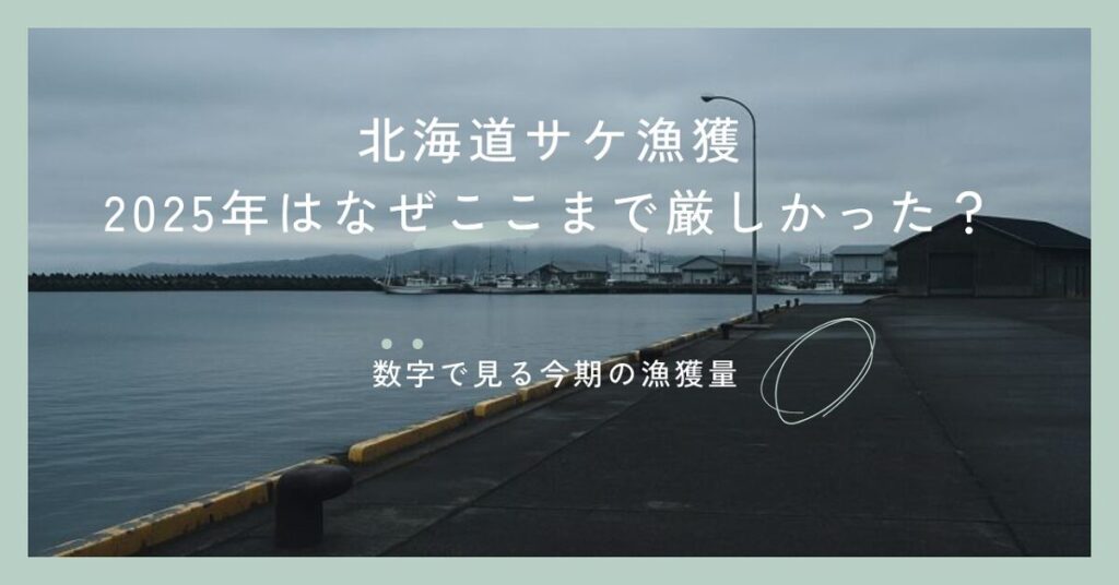 寂しい曇った空の港の様子