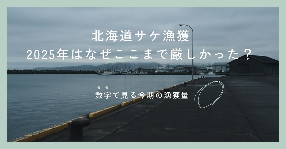 寂しい曇った空の港の様子