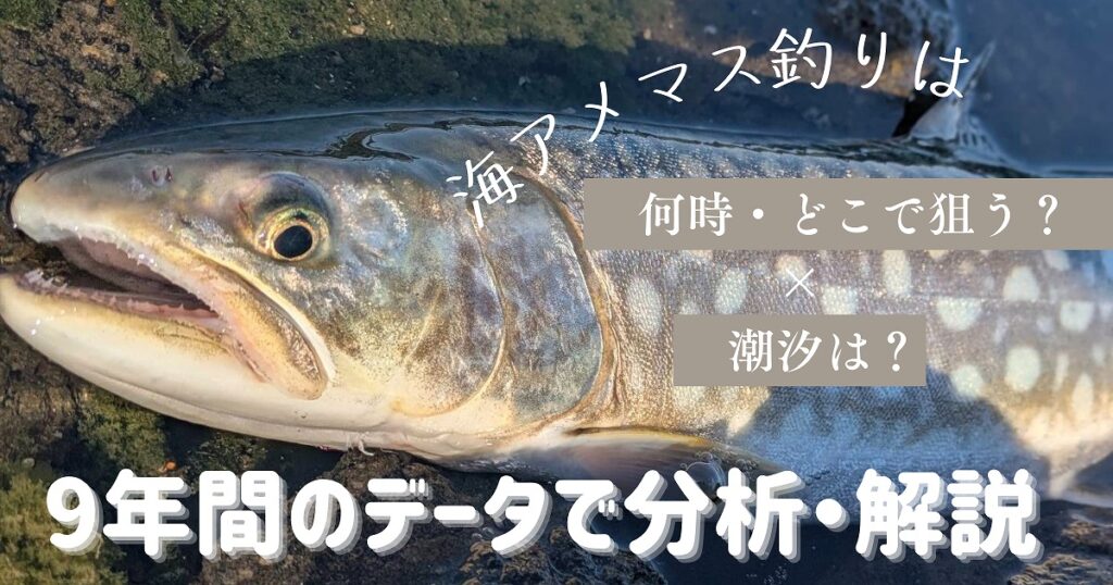大きな海アメマスが横たわる画像