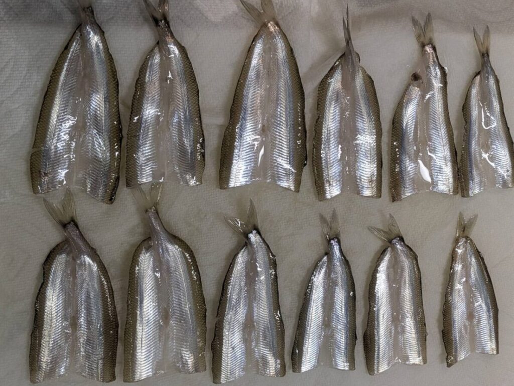 開きにしたチカ