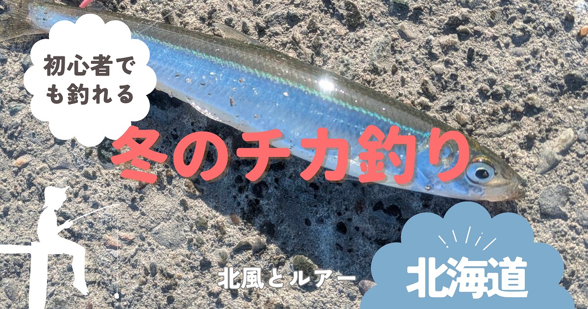 釣り上げられたチカ画像