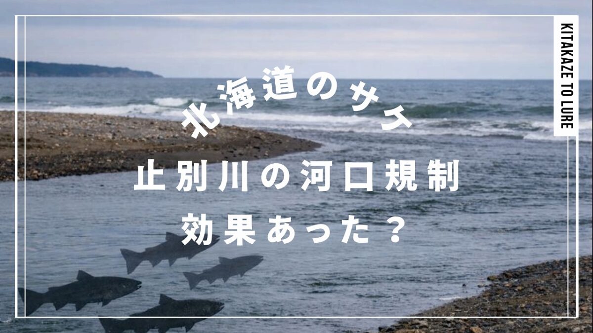 止別川の河口付近を背景に、サケのシルエットを配置した構図