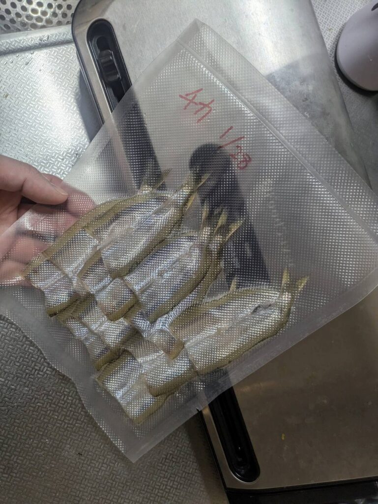 真空パックに入っている、開きになったチカ