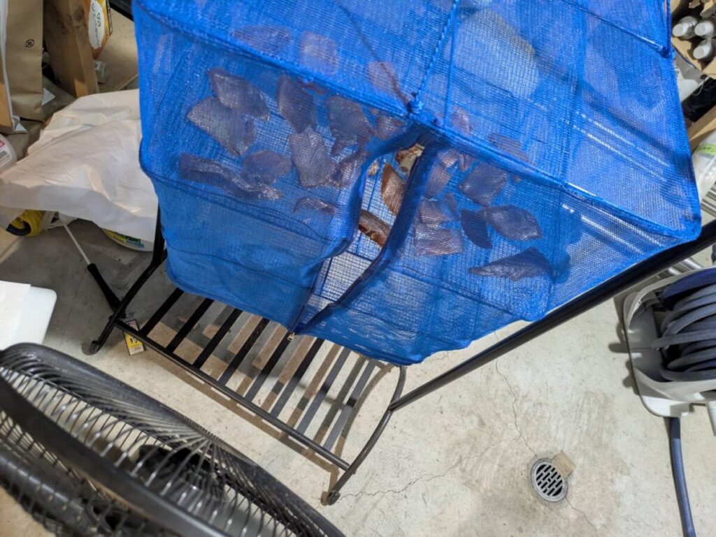 扇風機の風で乾燥されるマグロ