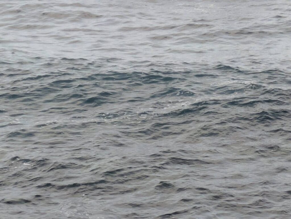 白から透明に変わる海