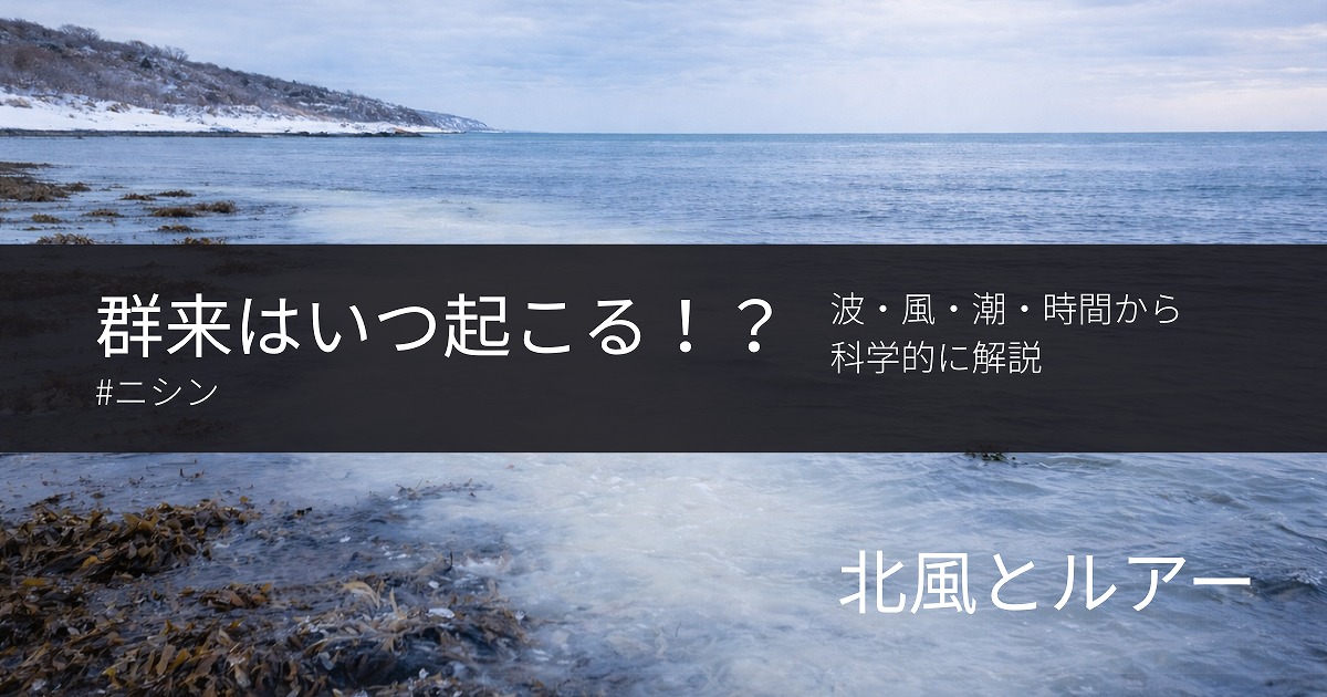 藻場で群来が起こってるアイキャッチ画像