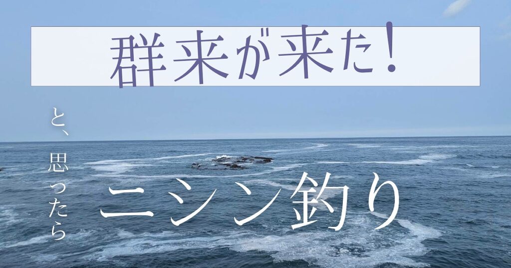 群来が起こって海が白くなっている画像のアイキャッチ