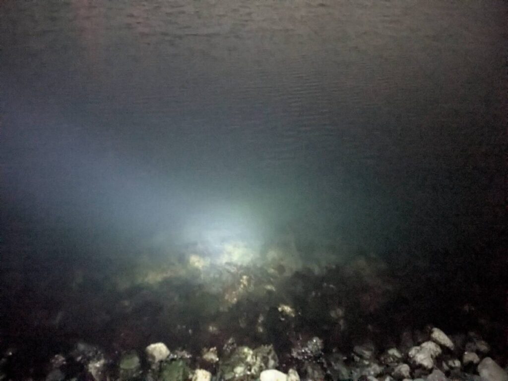 岸壁から覗く夜の海