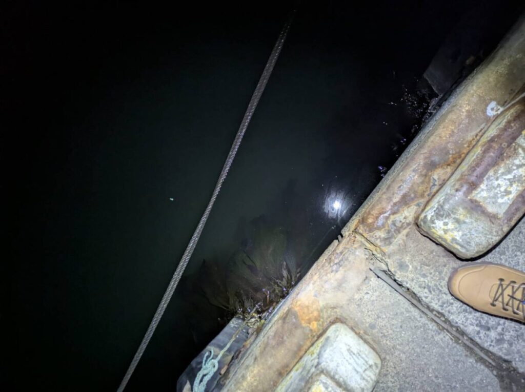 港から覗く夜の海