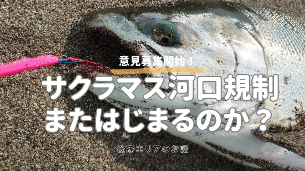 サクラマスがジグを咥え、釣り上げられてる画像