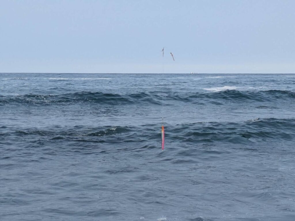 海をバックにジグサビキをぶら下げている