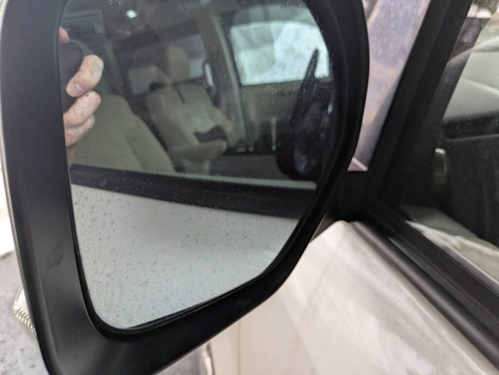 ウロコがついたサイドミラー