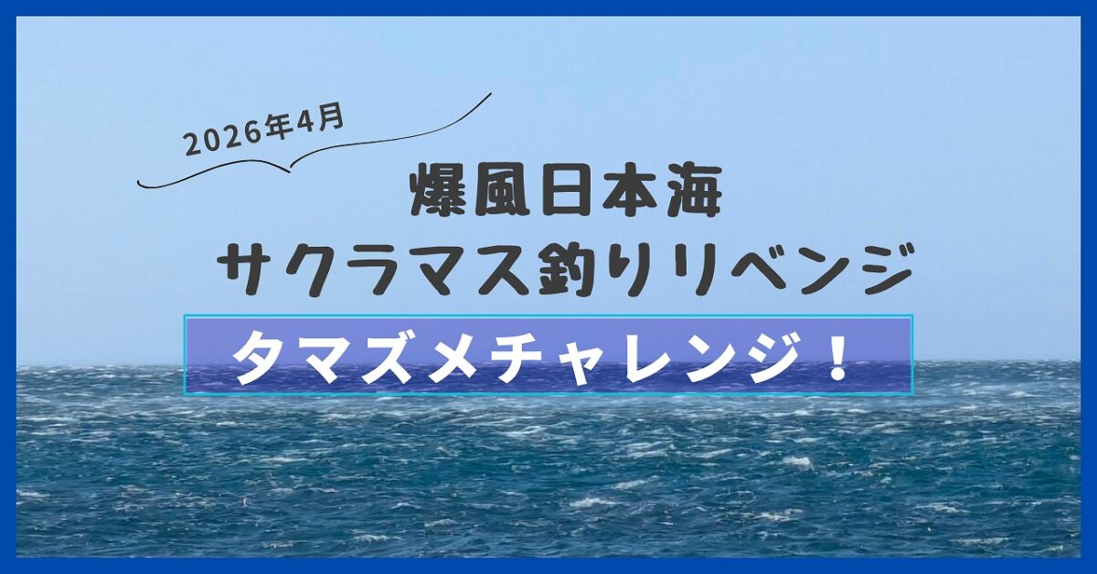 大荒れの日本海画像