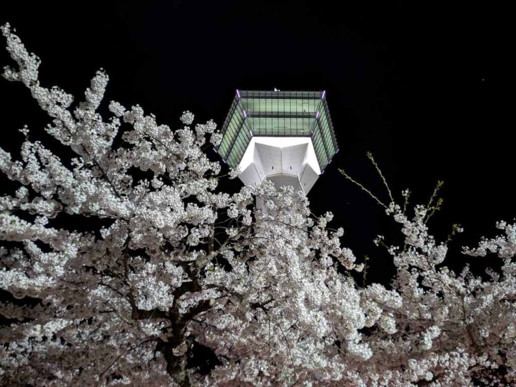 函館五稜郭タワーと夜桜の画像