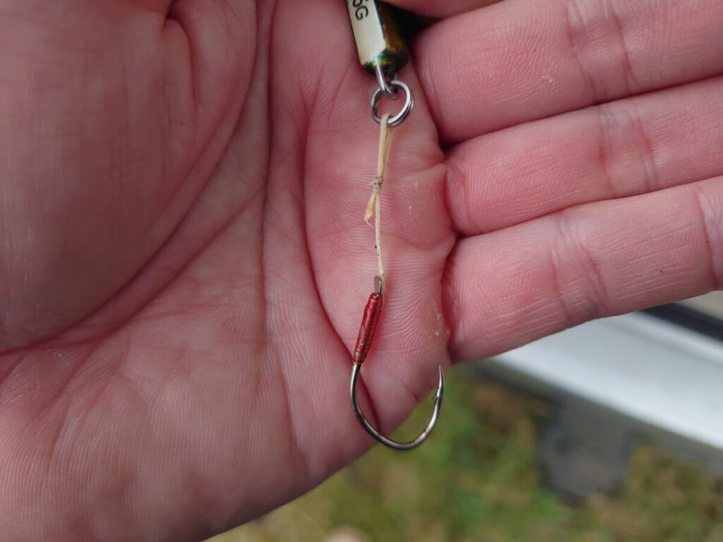 サクラマスに切られたアシストライン