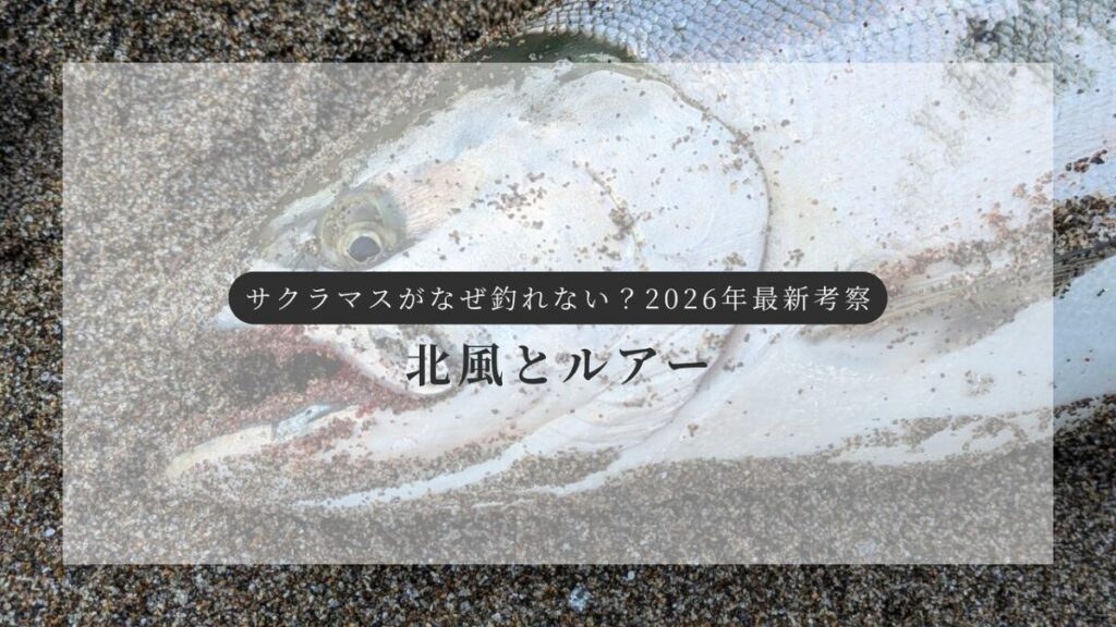 釣り上げられ、砂浜に横たわるサクラマス画像