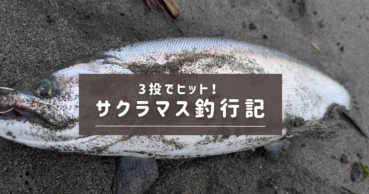釣り上げられたサクラマスが砂浜の上にいるアイキャッチ画像