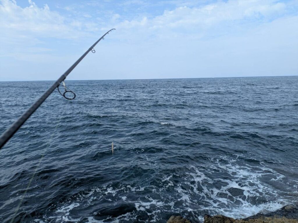 若干波のある海の様子画像