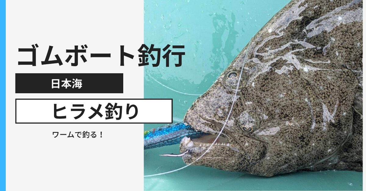 がっちりワームを咥えたヒラメ。口にフックがフッキングしている。