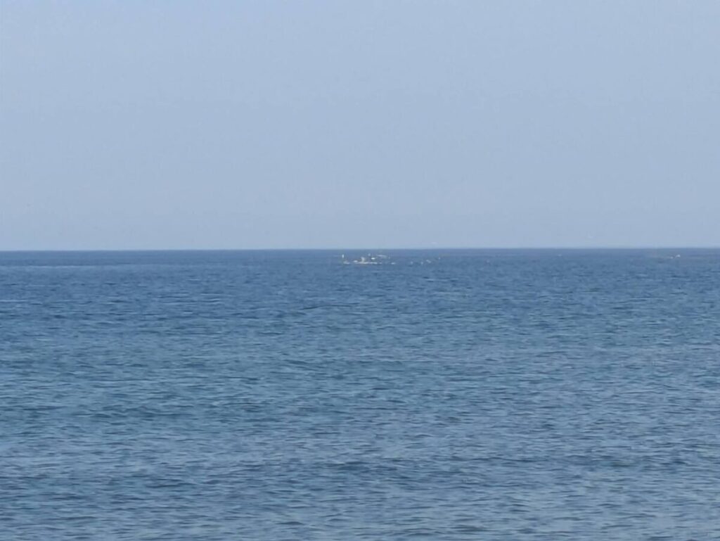 沖で発生するナブラに刺さる鳥山