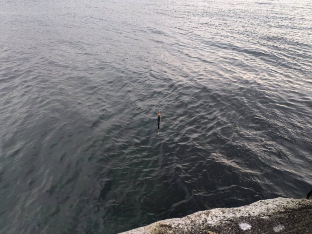 ポップクイーンをロッドにつけて、海に構えている画像
