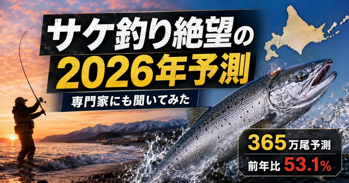 北海道の海岸で秋サケ釣りをするアングラーと、2026年の秋サケ来遊予測365万尾を示すアイキャッチ画像