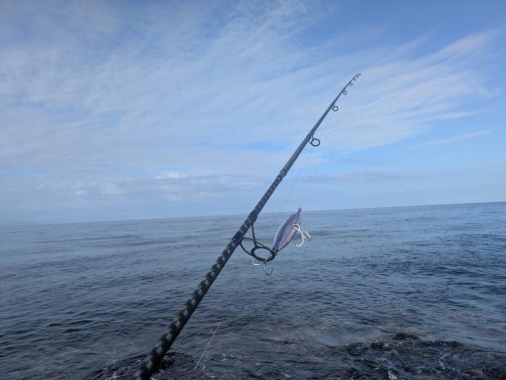 シマノヘッドディップ140Fをセッティングして海に構えている画像